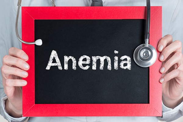 10 alimenti per combattere l&#039;anemia