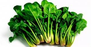 Ricette facili e sane con gli spinaci